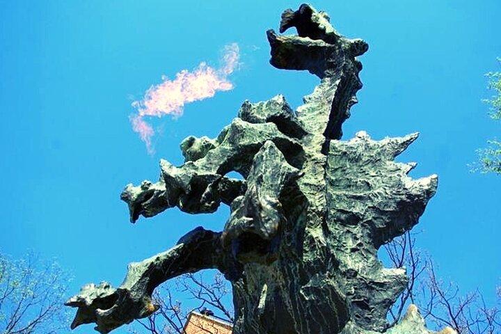 Tour di Cracovia e Auschwitz per piccoli gruppi da Lodz con pranzo
