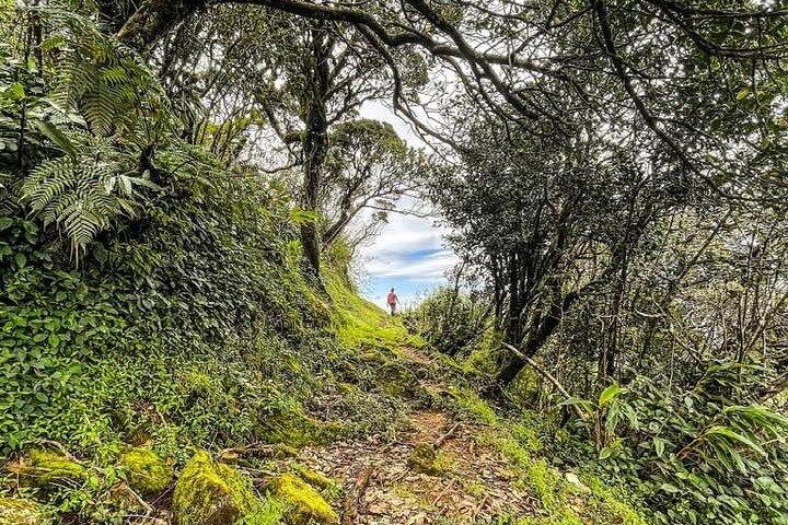 Le sentier des routards à Elephant Spine - Knuckles