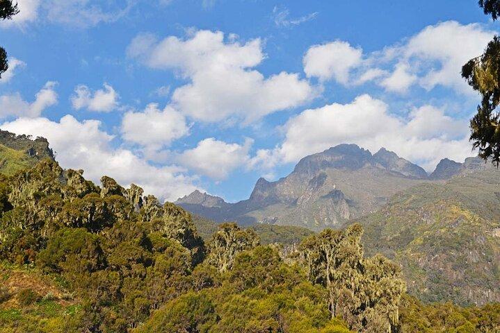 Gorilla & Ruwenzori Expedition in Uganda - 15 Tage