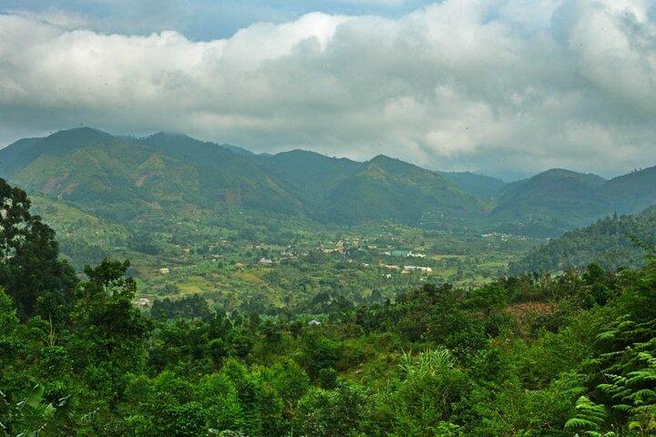 Gorilla & Ruwenzori Expedition in Uganda - 15 Tage