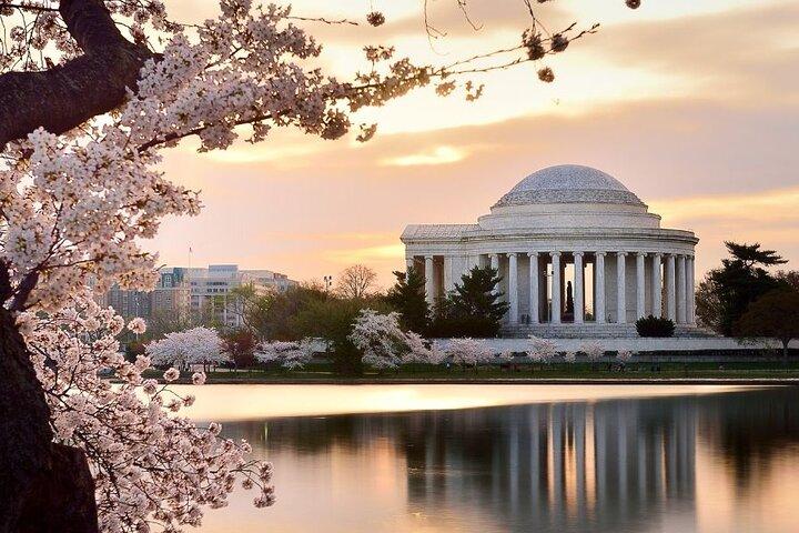 Washington: recorrido privado a pie personalizado con un guía (privado)