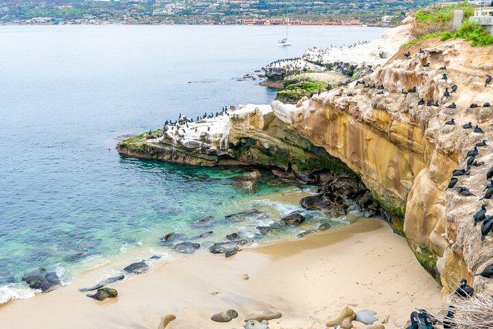 La Jolla Cove Food & Drink Walking Tour: Sopa, sabor e mar