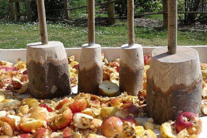 サン セバスティアン、ゲタリア、バスク地方の伝統