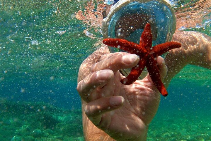 Pula Kayak Tour-Cliff hoppa, snorkla och gratis GoPro bilder