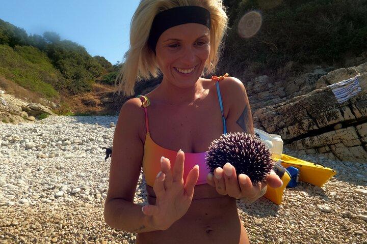 PULA : Sea Cave & 3 Islands Kayak Tour, mit Cliff Jumping & Schnorcheln