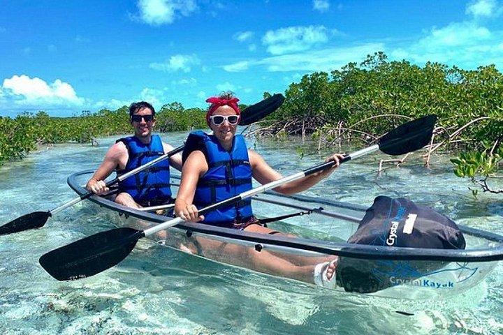 Visite de Mangrove Cay