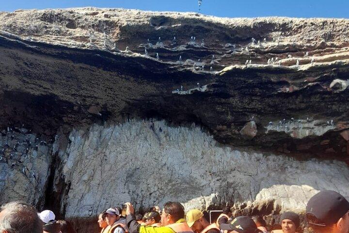 Islas Ballestas: Ida y vuelta desde el Puerto de Cruceros Pisco