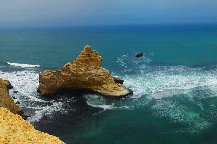Tour naar het Paracas-reservaat vanaf de cruiseterminal van Pisco.