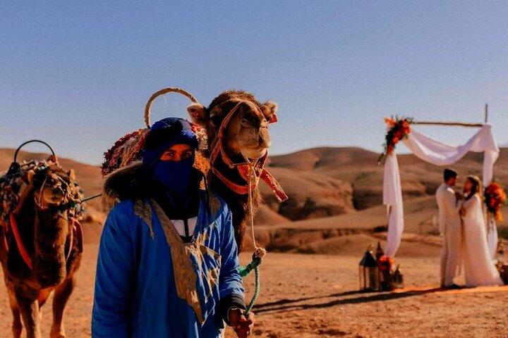 Atlas Mountains and Berber villages & Waterfalls with Camel ride