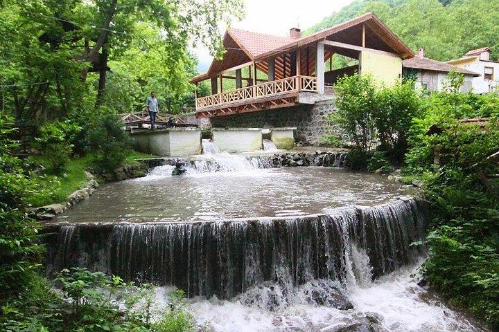 Full Day Sapanca and Masukiye Tour with lunch