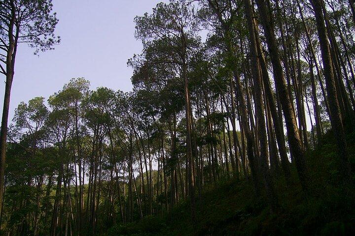 Nagarkot Sunrise Tour mit Sallaghari: Changunarayan Wandern