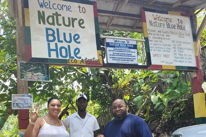 Excursão privada de dia inteiro em Ocho Rios com coleta incluída
