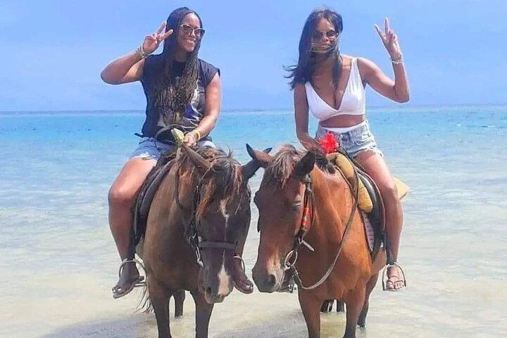 Excursão privada de dia inteiro em Ocho Rios com coleta incluída