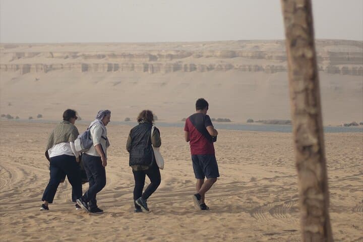 Fayoum Camping Tour 2 Days 1 Night