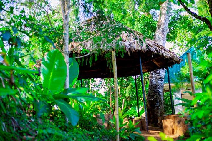 Materuni vattenfall och Kikuletwa Hot Spring Tour