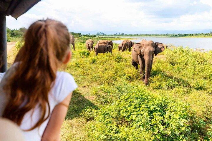 Polonnaruwa Unesco oude stad en olifantensafari-avontuur