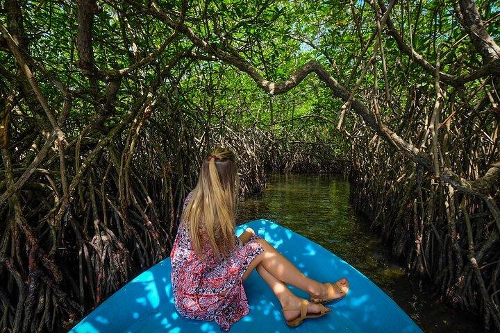 Mangroven van Madu Ganga-boottocht (privé en all-inclusive)