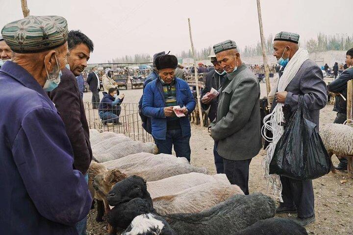 17-Day Guided Tour in Silk Road China