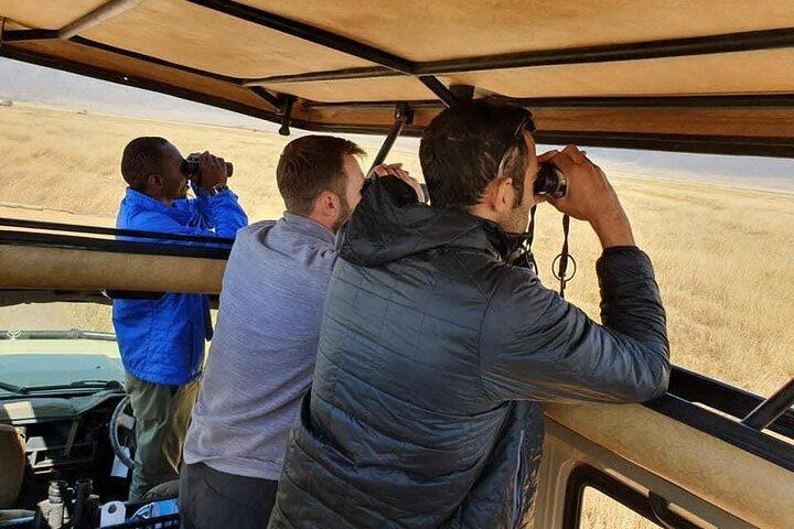 6 días de lujo Lodge Safari a Lake Manyara, Serengeti, Ngorongoro y Tarangire