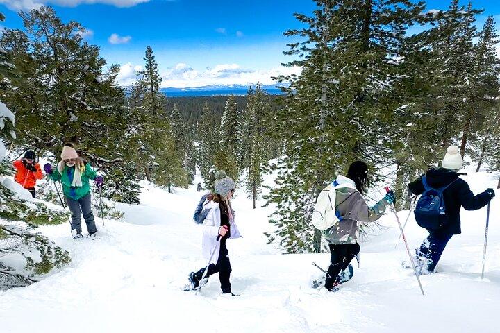 Naturskønt sneskoeventyr i South Lake Tahoe, CA
