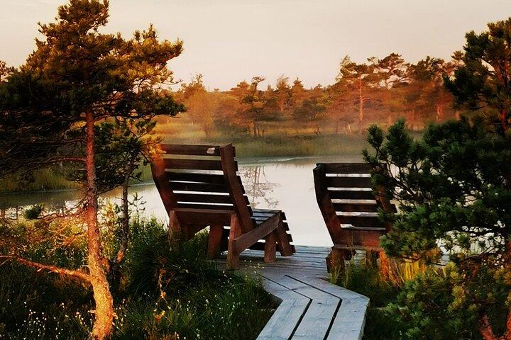 Kemeri National Park Bog Vandretur med Jurmala privat tur