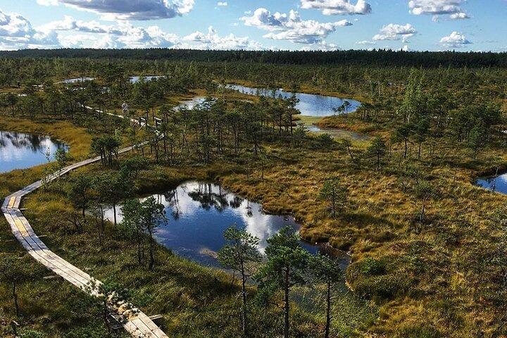 Kemeri National Park Bog Vandretur med Jurmala privat tur