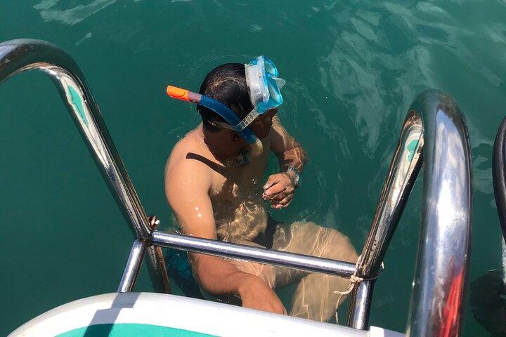 Divertenti immersioni e snorkeling per l'intera giornata da parte dei subacquei Tiger Fish