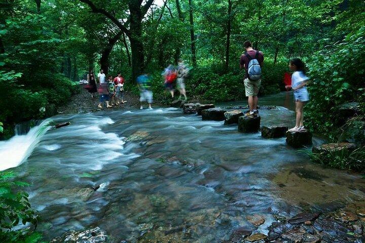 Wanderung nach Hangzhou Jiuxi und zum Teedorf ab Shanghai mit dem Zug