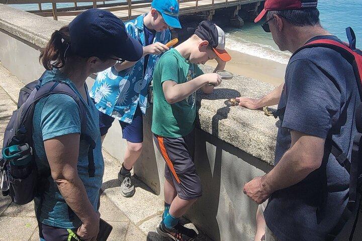 Old San Juan Family Fun Tour: Vetenskap/Historia/ Smaskiga godsaker