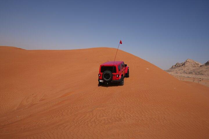 Tour de 6 horas en Desert Safari Dubai