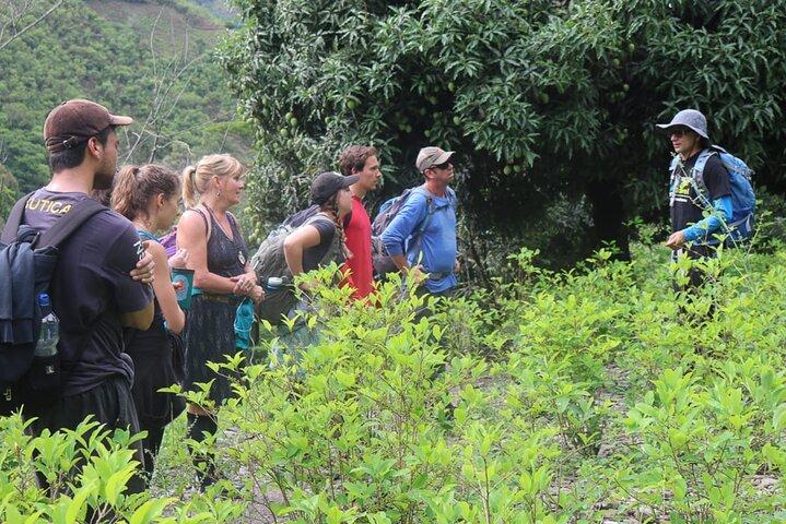 Vanuit Cusco: Klassieke Inca Jungle Trek – 4 dagen met treinretour