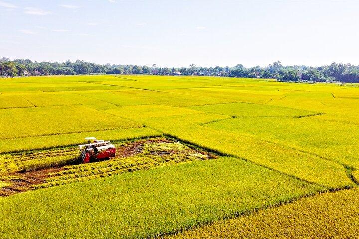 Autênticos túneis de Cu Chi e experiência de dia inteiro no Delta do Mekong