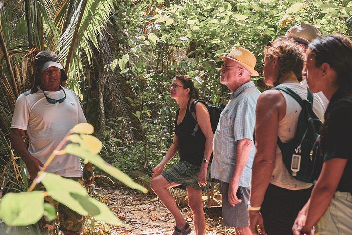 Monkey River Wildlife Encounters and Manatee Watch