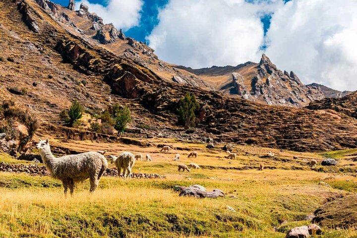 Tur til Vinicunca Rainbow Mountain fra Cusco