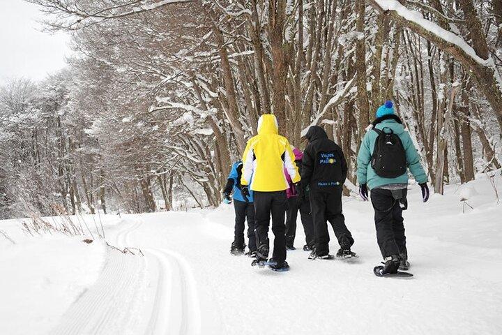 Itinerario del Granchio nella Neve 4x4 nella Terra del Fuoco