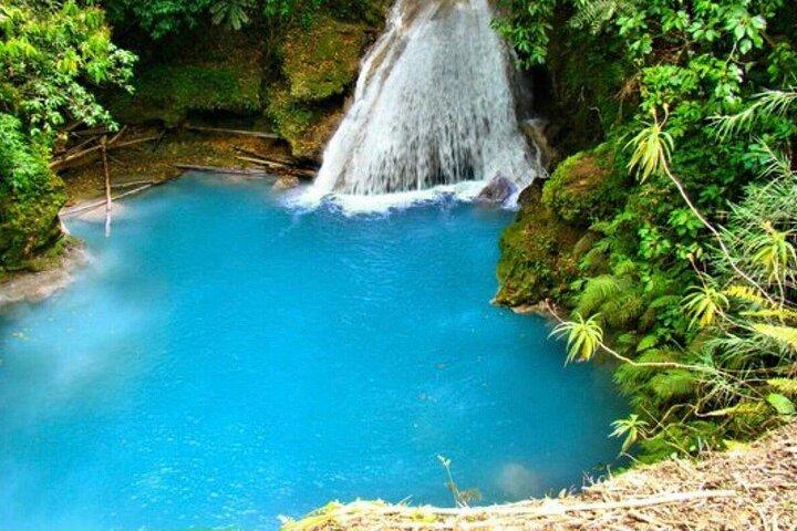 Privat dagstur i Blue Hole Secret Falls & Dunn's River Falls