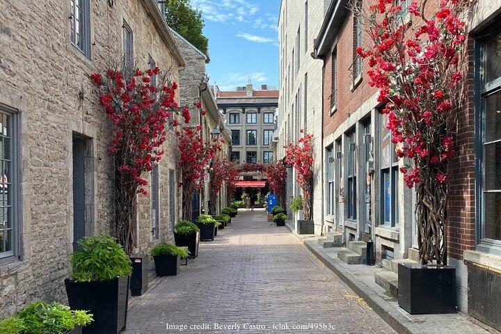 Old Montreal: Private History Walking Tour with Tastings