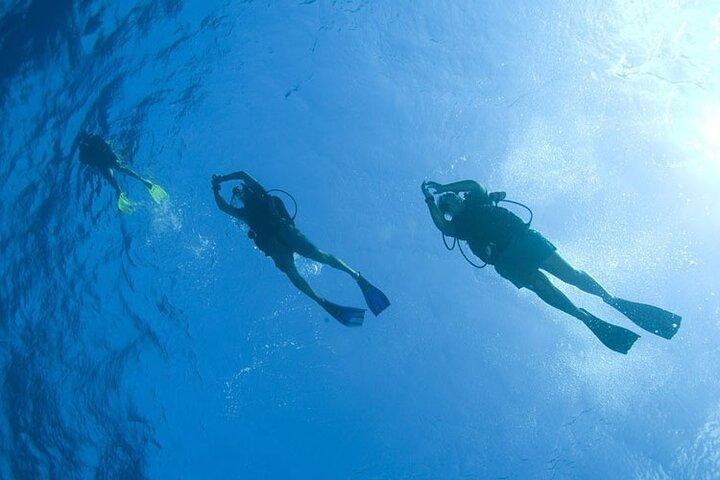 Halvdags snorkling i Hurghada Røde Hav