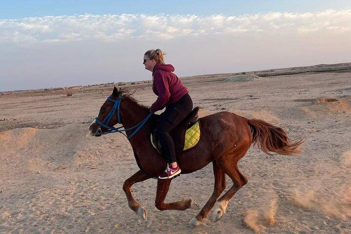 Passeio a cavalo Deserto e praia na baía de Nabq - Sharm ElSheikh