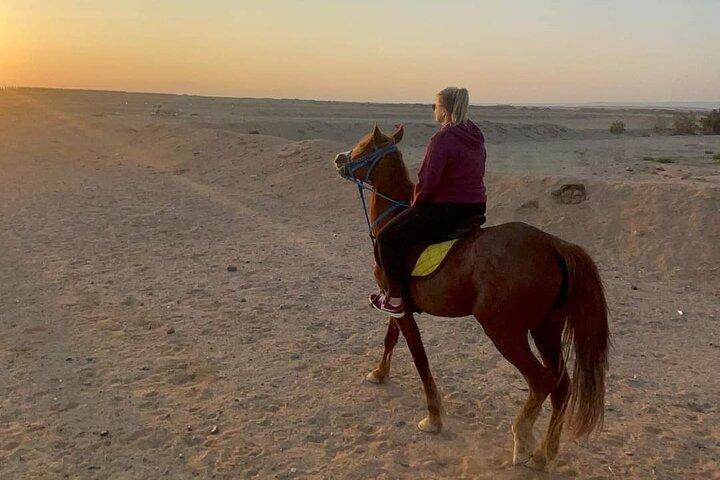 Passeio a cavalo Deserto e praia na baía de Nabq - Sharm ElSheikh