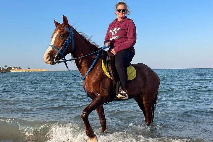 Passeio a cavalo Deserto e praia na baía de Nabq - Sharm ElSheikh