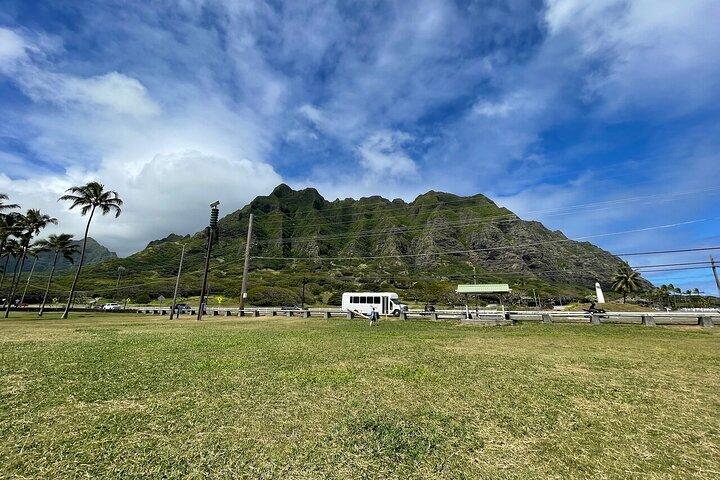 Oahu Allstar Circle Island Tour: Dole, Turtles, Blowhole, Fun