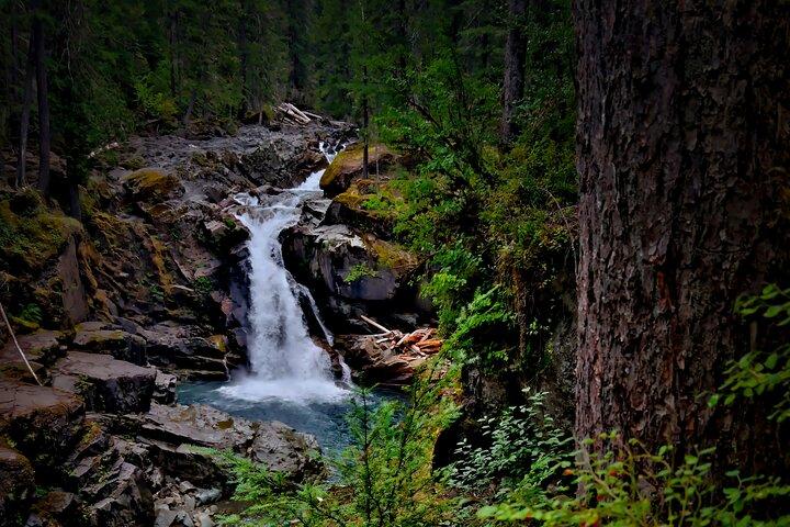 De Seattle: Excursão privada ao Mt. Rainier