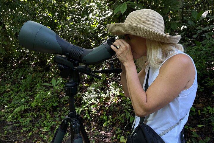 Esquipulas Rainforest - Privat Fuglekigning - Fuldt tilpasselig tur