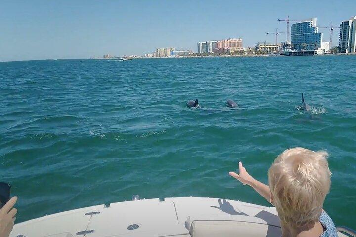 Visite privée de Clearwater Beach & Dolphin Boat (3 heures, 6 invités)