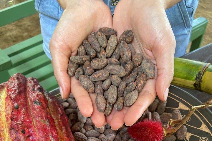 Corso di 2 ore di cacao e caffè