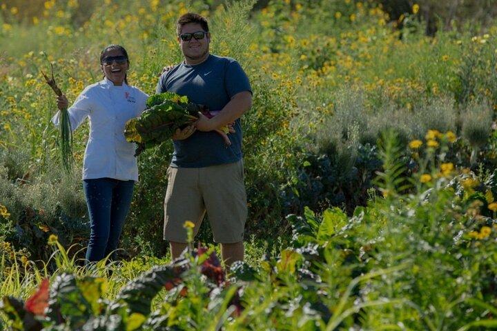 Aulas de culinária em Cabo San Lucas pelo Chef Ari