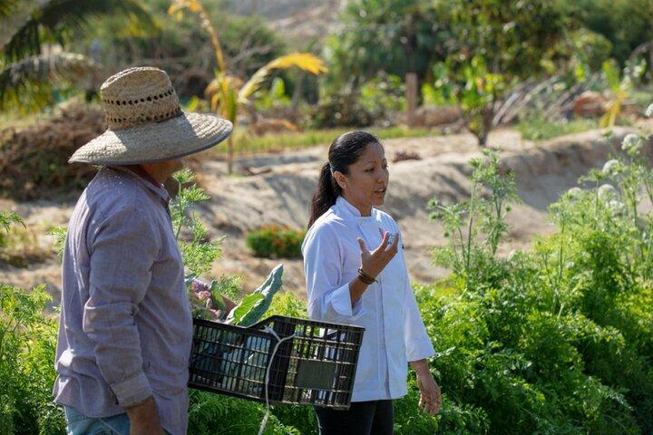 Aulas de culinária em Cabo San Lucas pelo Chef Ari