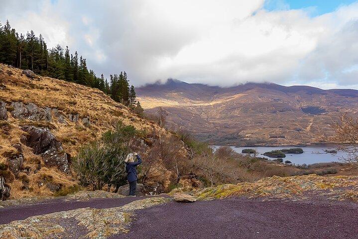 Entdecken Sie den Ring von Kerry & Kerry Cliffs - Private Luxus Tagestour