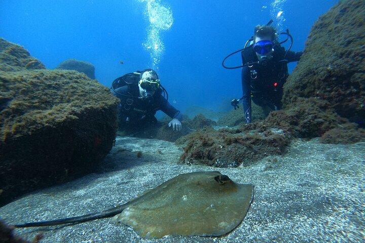 Bautizo de Buceo en Teneriffa
